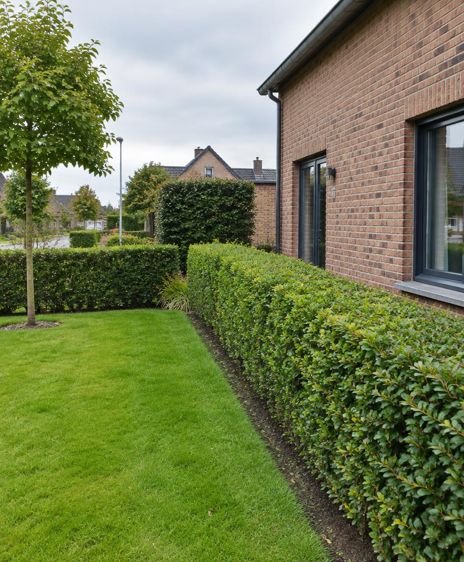 Outdoor Care